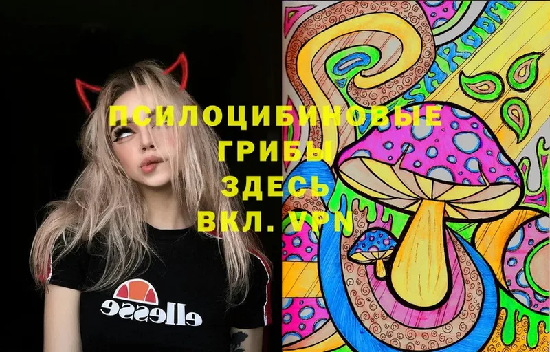 Псилоцибиновые грибы Psilocybe  Зверево 